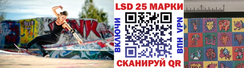 Купить закладки  Берёзовка  Наркотические марки 1,8мг 