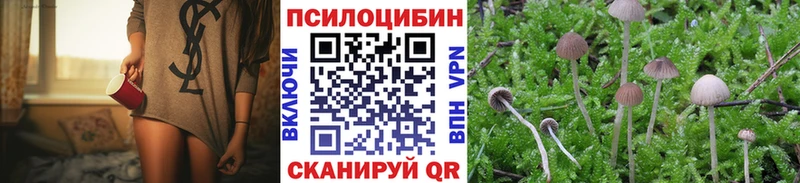Купить  Берёзовка  Псилоцибиновые грибы Psilocybe 